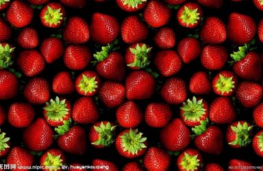 第二届国际草莓品牌大会在南京溧水召开